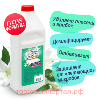 Diona Magic -- 31 1000 (   )