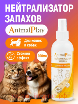 Animal Play         200