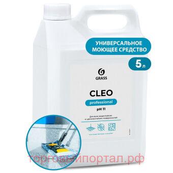 ������������� ������ �������� "CLEO" 5� 