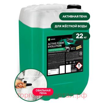   "Active Foam Evolution" 22 