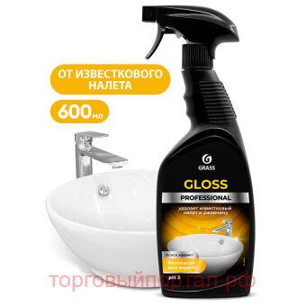    ."Gloss Professional" 600