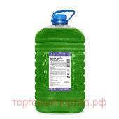  - - Diona Apple E  5 